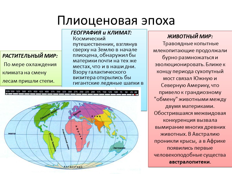 Плиоценовая эпоха РАСТИТЕЛЬНЫЙ МИР:  По мере охлаждения климата на смену  лесам пришли
